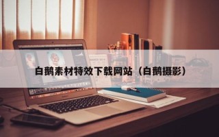 湖北白鹅素材特效下载网站（白鹅摄影）